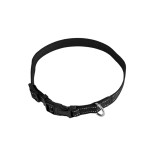 Obroża dla zwierzaka