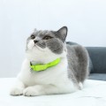 obroza_green_2.jpg