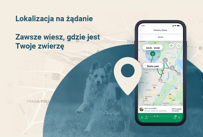 "Widok