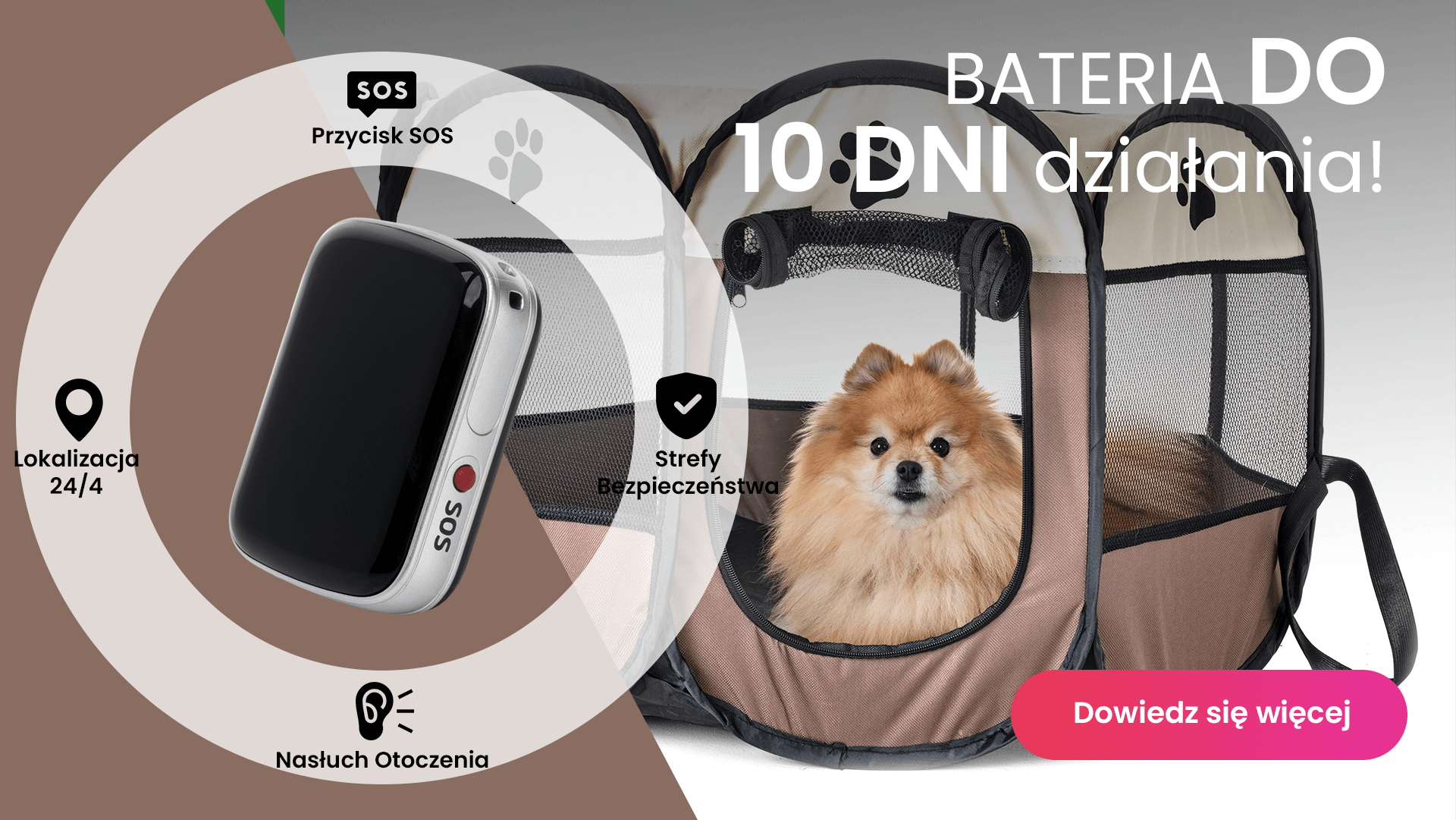 Mały pies w transporterze z lokalizatorem GPS dla psa Locon Dog