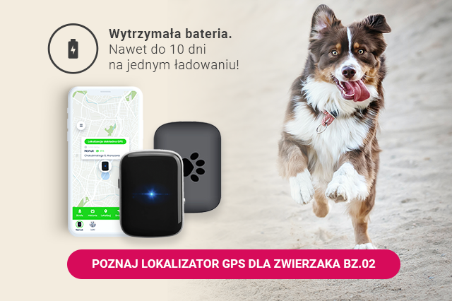 "Lokalizator