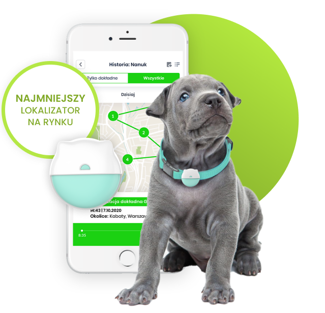 gps dla małego psa