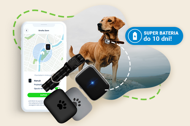 Nowy lokalizator GPS BZ.02 dla psa i kota — bezpieczeństwo zwierzaka to Twój spokój